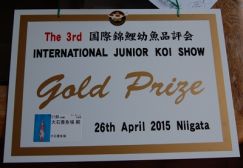 Gold Prize 1