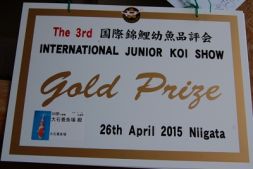 Gold Prize 2