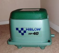 Hiblow_40_.jpg