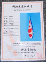 Nogami No 2 Certificate