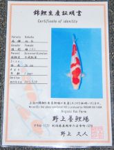 Nogami No 3 Certificate