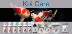 koi_care_nt_banner.jpg